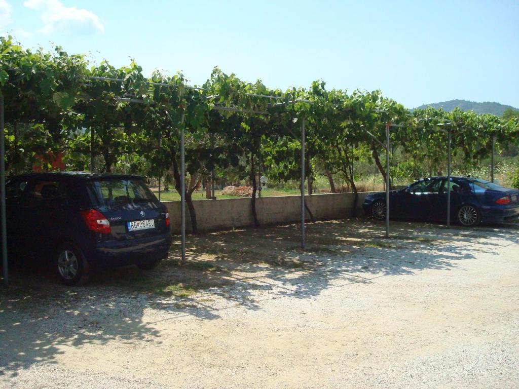 Villa Tonia Apartments Szárti Kültér fotó