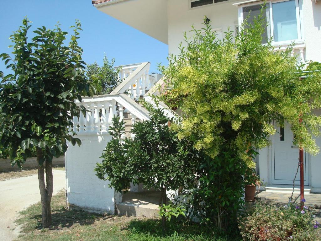 Villa Tonia Apartments Szárti Kültér fotó
